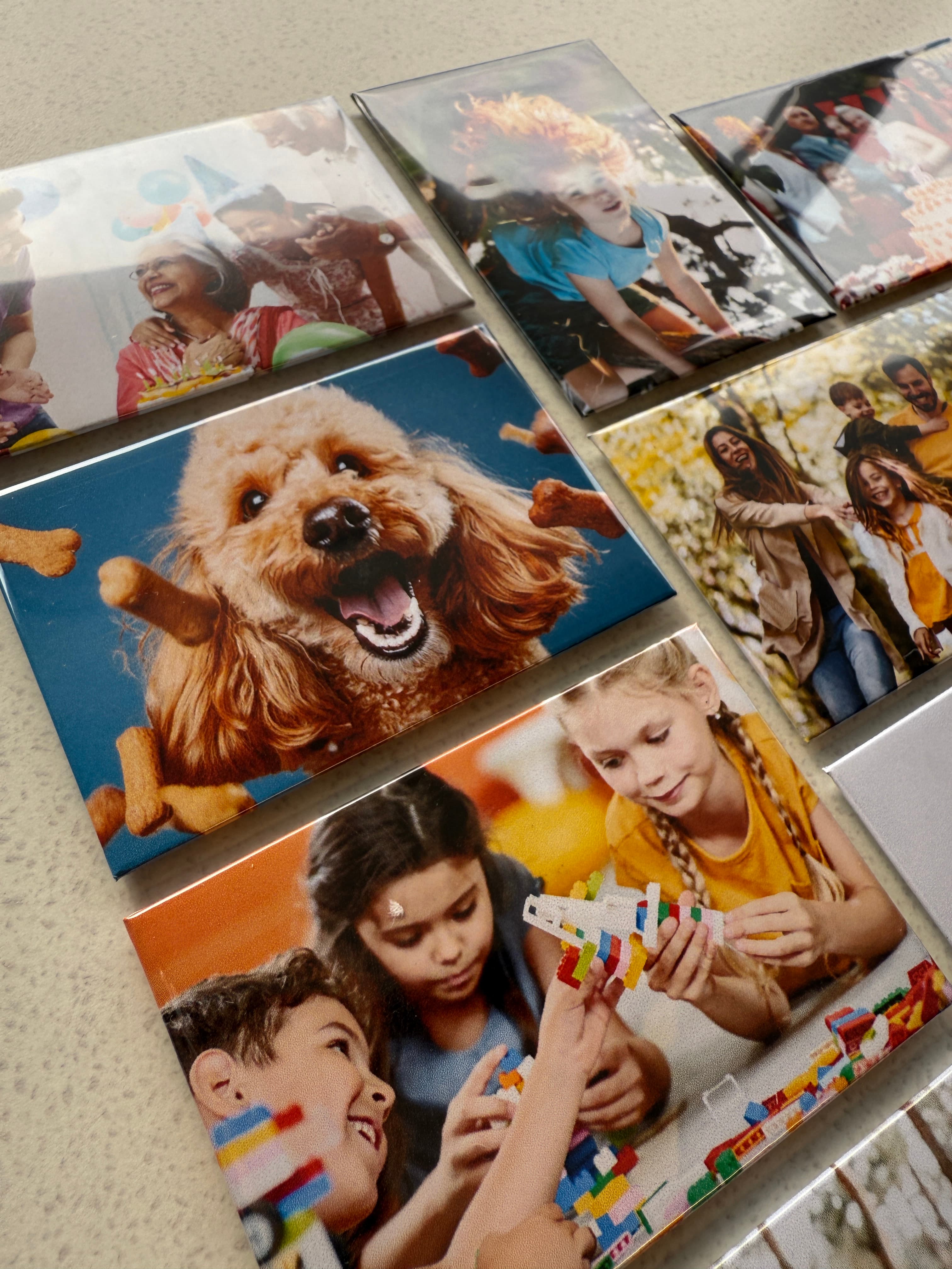 Custom photo magnets featuring pets, families, and playful everyday moments.