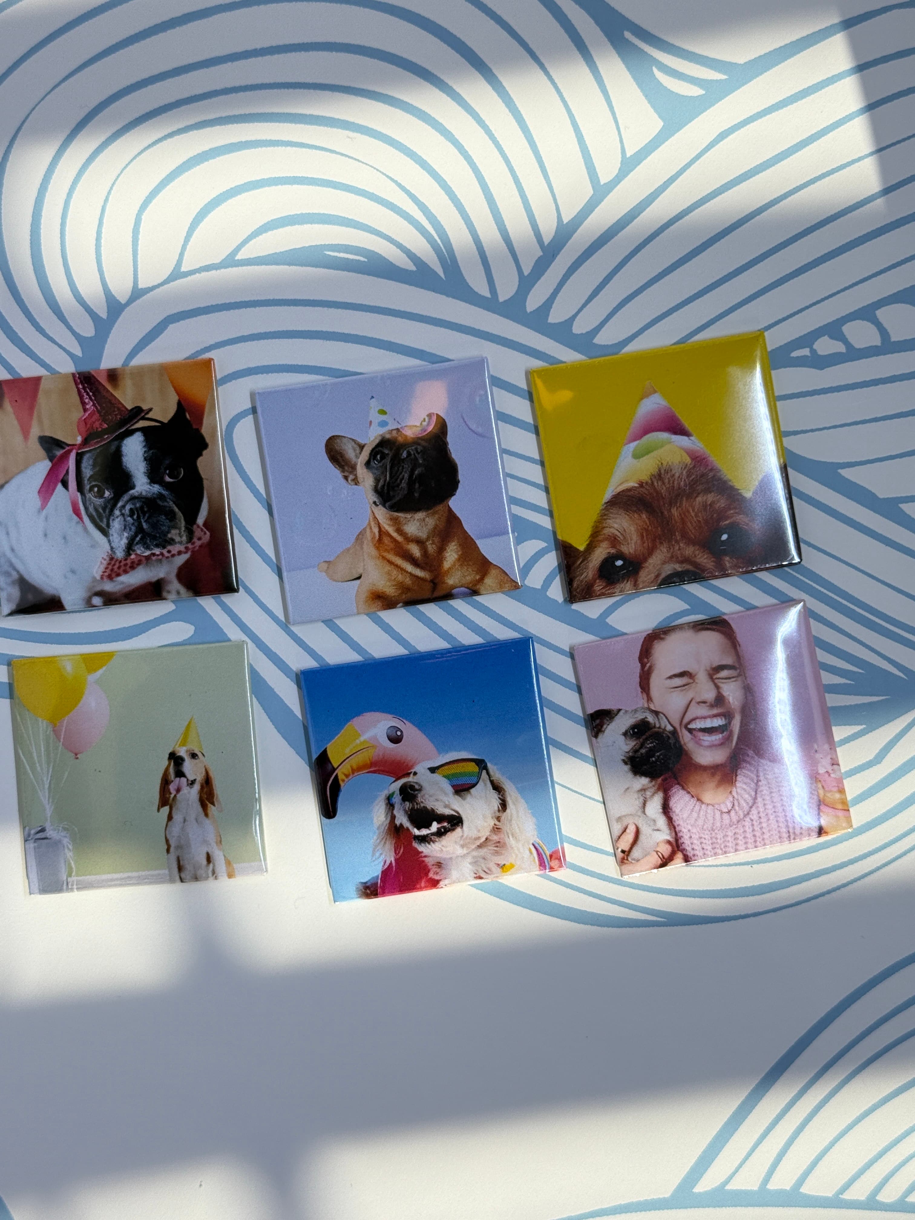 Pet-themed magnet collection